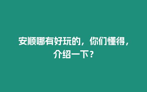 安順哪有好玩的，你們懂得，介紹一下？