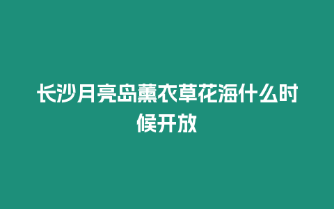 長沙月亮島薰衣草花海什么時候開放