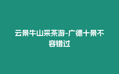 云景牛山采茶游-廣德十景不容錯過