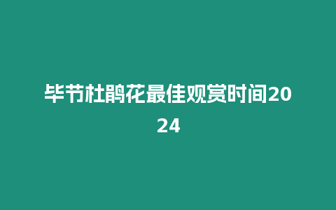 畢節(jié)杜鵑花最佳觀賞時(shí)間2024