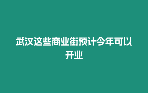 武漢這些商業(yè)街預計今年可以開業(yè)