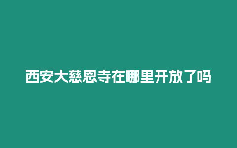 西安大慈恩寺在哪里開放了嗎