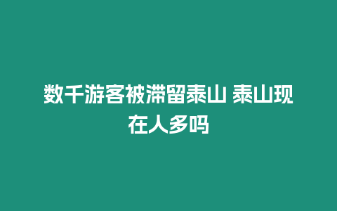 數千游客被滯留泰山 泰山現在人多嗎