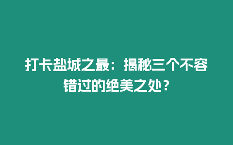 打卡鹽城之最：揭秘三個(gè)不容錯(cuò)過(guò)的絕美之處？