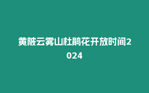 黃陂云霧山杜鵑花開放時(shí)間2024