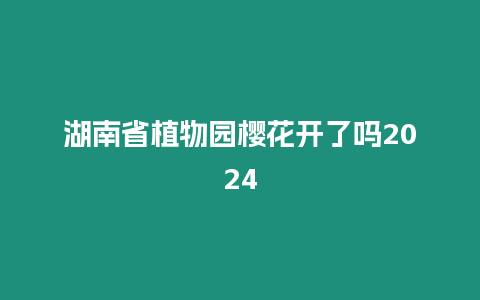 湖南省植物園櫻花開了嗎2024