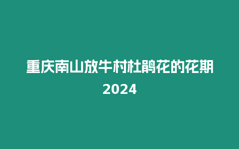 重慶南山放牛村杜鵑花的花期2024