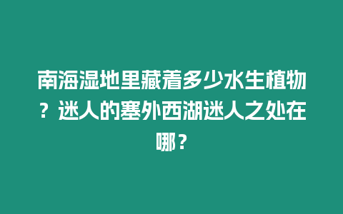 南海濕地里藏著多少水生植物？迷人的塞外西湖迷人之處在哪？