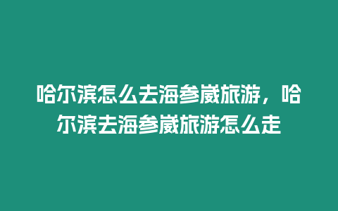 哈爾濱怎么去海參崴旅游，哈爾濱去海參崴旅游怎么走