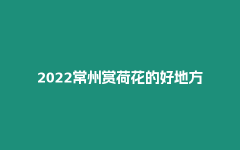 2022常州賞荷花的好地方