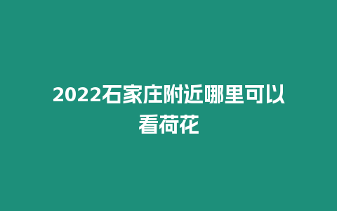 2024石家莊附近哪里可以看荷花