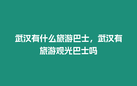 武漢有什么旅游巴士，武漢有旅游觀光巴士嗎