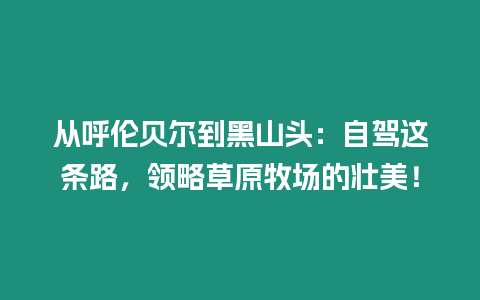 從呼倫貝爾到黑山頭：自駕這條路，領略草原牧場的壯美！