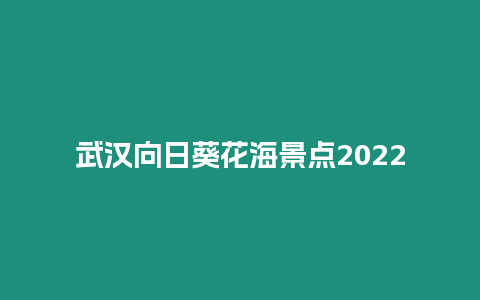 武漢向日葵花海景點2024