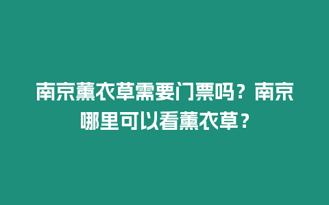 南京薰衣草需要門票嗎？南京哪里可以看薰衣草？