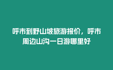 呼市到野山坡旅游報價，呼市周邊山溝一日游哪里好