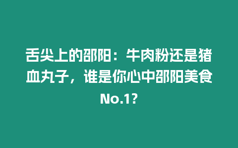 舌尖上的邵陽：牛肉粉還是豬血丸子，誰是你心中邵陽美食No.1？