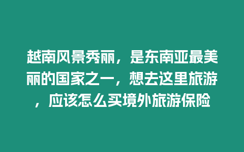 越南風景秀麗，是東南亞最美麗的國家之一，想去這里旅游，應該怎么買境外旅游保險