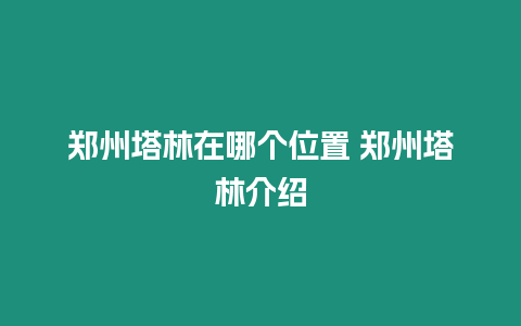 鄭州塔林在哪個位置 鄭州塔林介紹