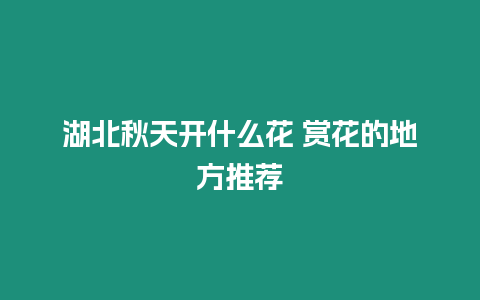 湖北秋天開什么花 賞花的地方推薦