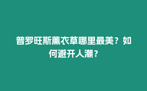 普羅旺斯薰衣草哪里最美？如何避開人潮？