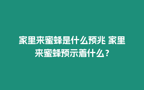 家里來蜜蜂是什么預兆 家里來蜜蜂預示著什么？