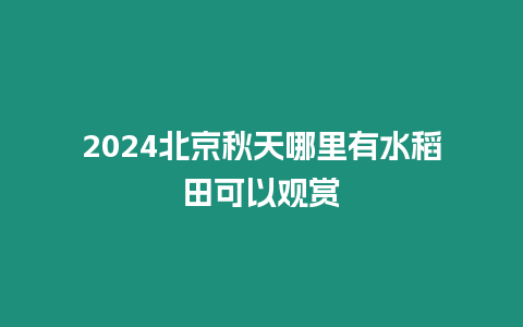 2024北京秋天哪里有水稻田可以觀賞