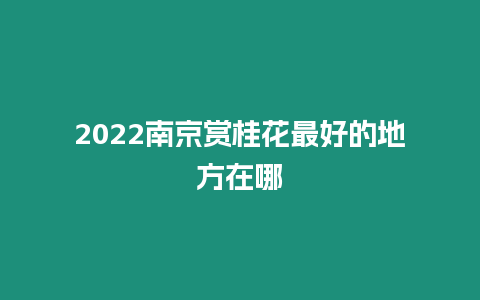 2024南京賞桂花最好的地方在哪