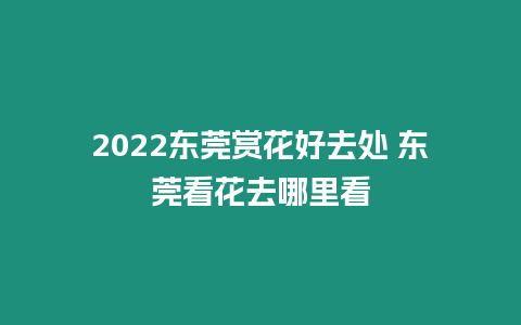 2024東莞賞花好去處 東莞看花去哪里看