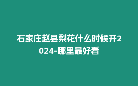 石家莊趙縣梨花什么時候開2024-哪里最好看