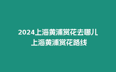 2024上海黃浦賞花去哪兒 上海黃浦賞花路線