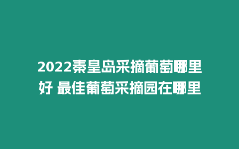 2024秦皇島采摘葡萄哪里好 最佳葡萄采摘園在哪里