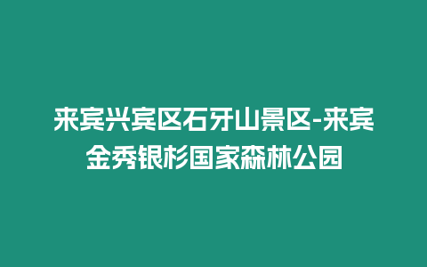 來賓興賓區石牙山景區-來賓金秀銀杉國家森林公園