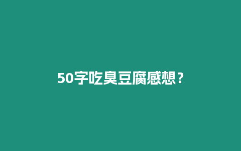 50字吃臭豆腐感想？