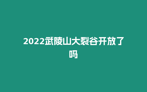 2024武陵山大裂谷開放了嗎