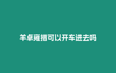 羊卓雍措可以開車進去嗎