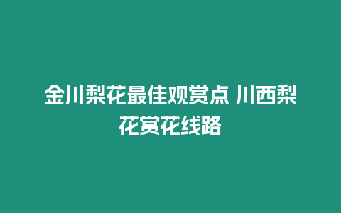 金川梨花最佳觀賞點 川西梨花賞花線路