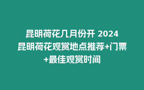 昆明荷花幾月份開 2024昆明荷花觀賞地點推薦+門票+最佳觀賞時間