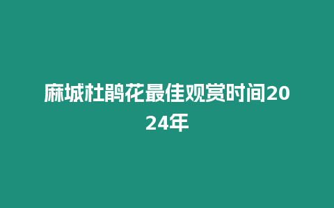 麻城杜鵑花最佳觀賞時間2024年