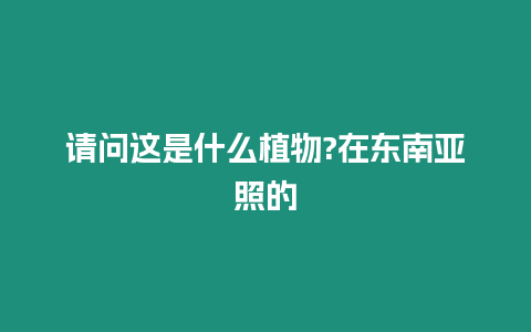 請問這是什么植物?在東南亞照的