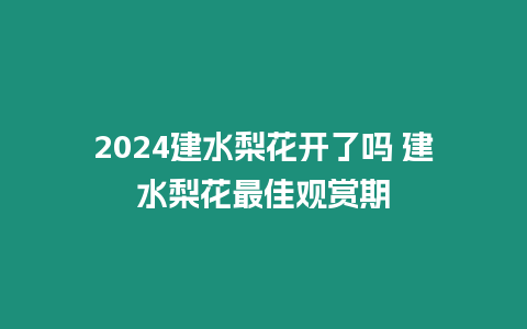 2024建水梨花開了嗎 建水梨花最佳觀賞期