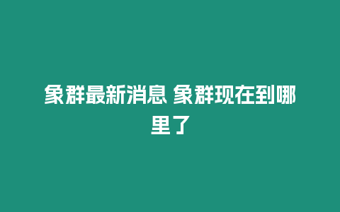 象群最新消息 象群現在到哪里了