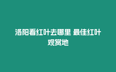 洛陽看紅葉去哪里 最佳紅葉觀賞地