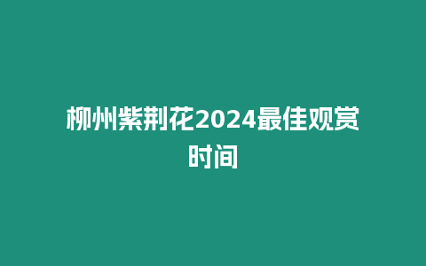 柳州紫荊花2024最佳觀賞時(shí)間