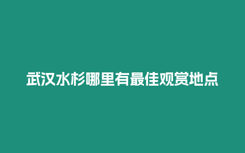 武漢水杉哪里有最佳觀賞地點