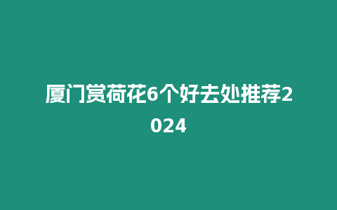 廈門賞荷花6個好去處推薦2024