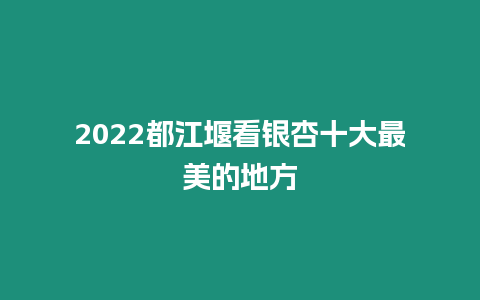 2024都江堰看銀杏十大最美的地方