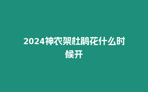 2024神農(nóng)架杜鵑花什么時(shí)候開