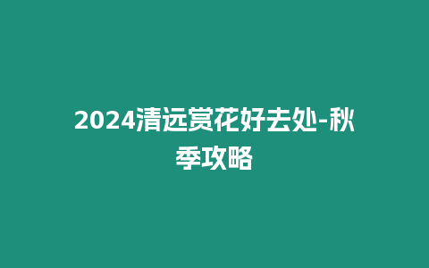 2024清遠賞花好去處-秋季攻略