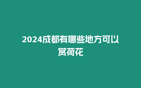 2024成都有哪些地方可以賞荷花